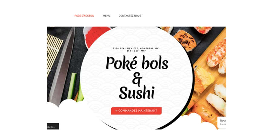 Vanntechs Web Studio project with Sushi & Pokebols